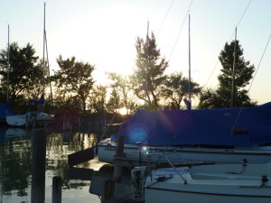 Abends am Neusiedlersee II